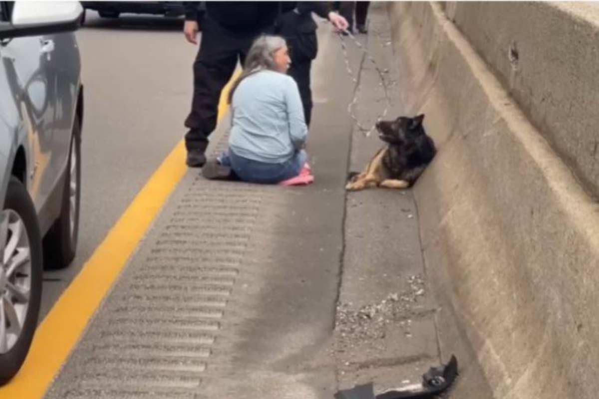 Si ferma su una strada ad alta velocità: il salvataggio ripreso da chi ha assistito all’incredibile scena