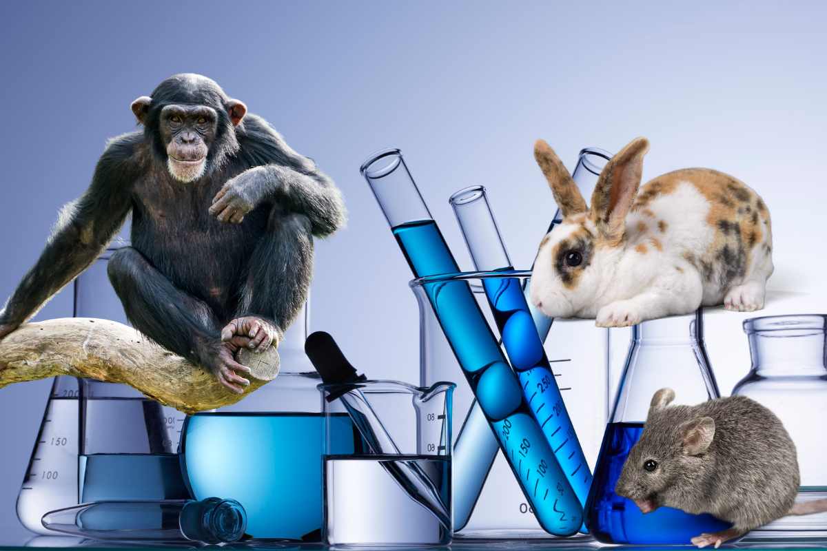 esperimenti sugli animali