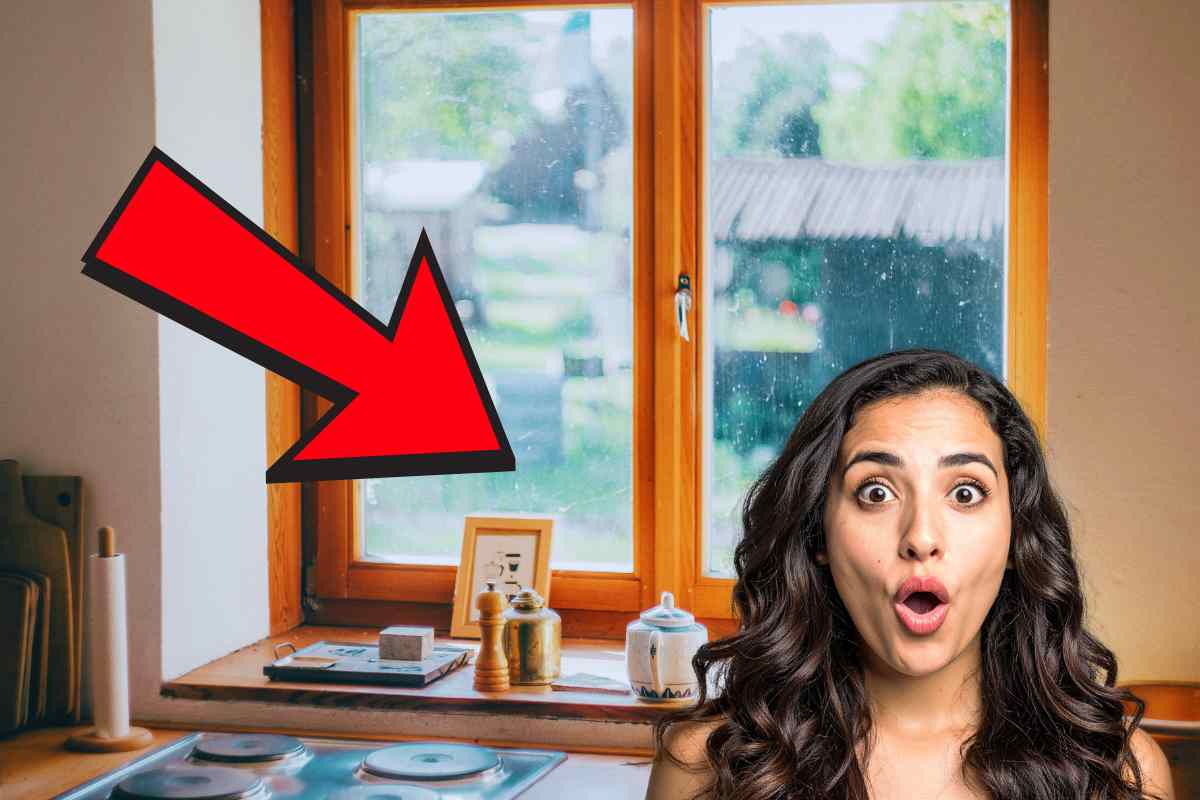 Puoi trovarli vicino alle finestre: questi insetti in inverno si accumulano tutti in questi punti