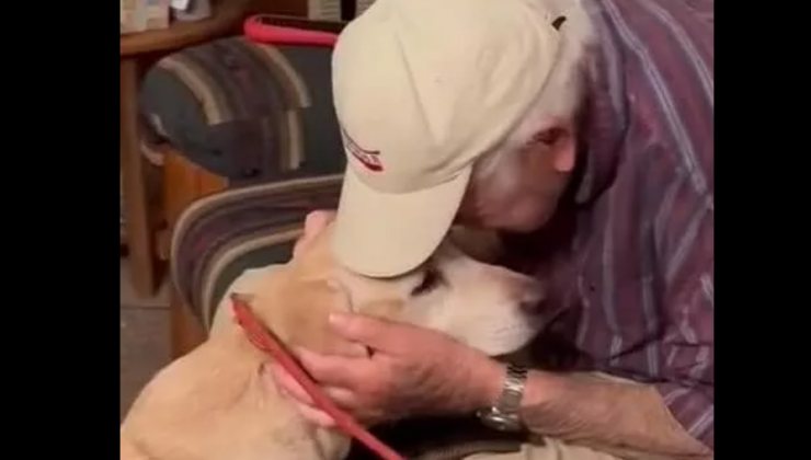 La storia strappalacrime di Sunny e Norm commuove gli utenti del web