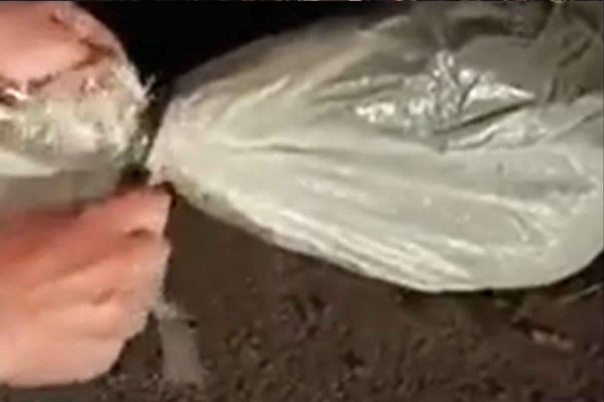 sacchetto chiuso ermeticamente