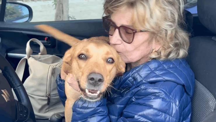 signora con il cane in auto