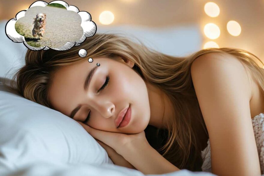 ragazza dorme cane nuvoletta fumetto