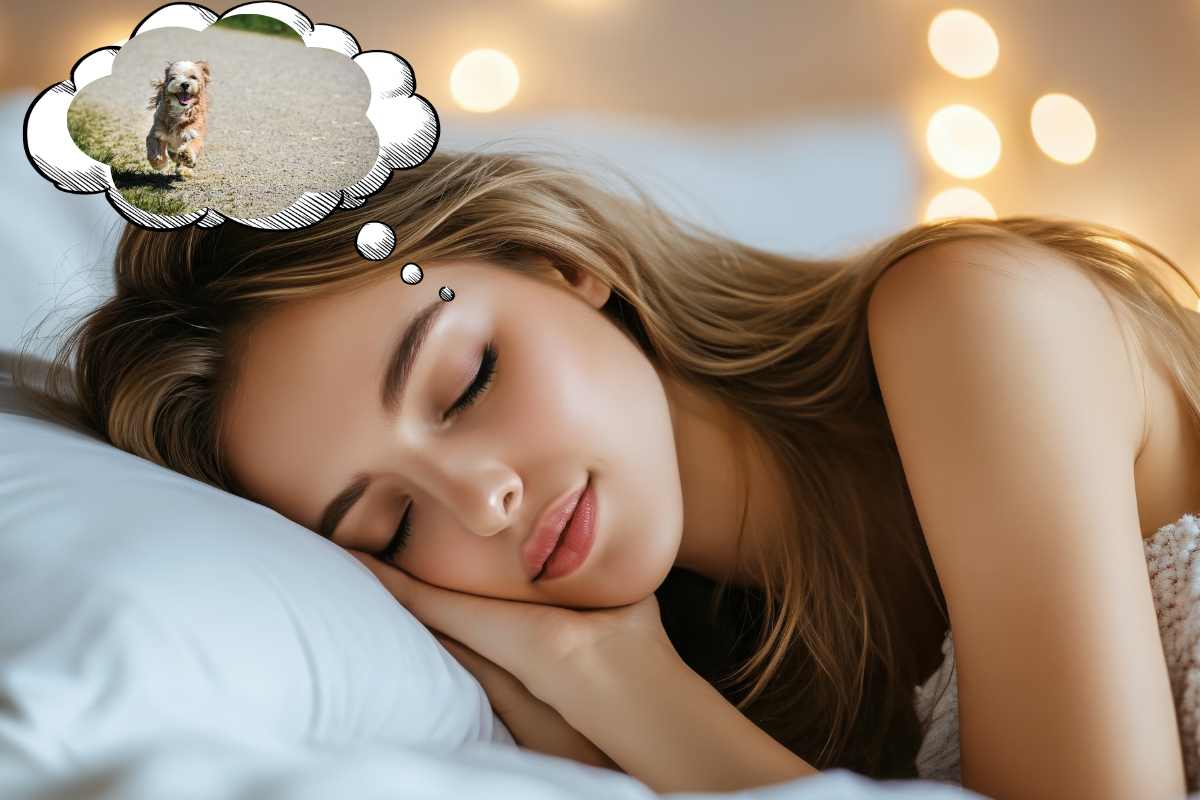 ragazza dorme cane nuvoletta fumetto