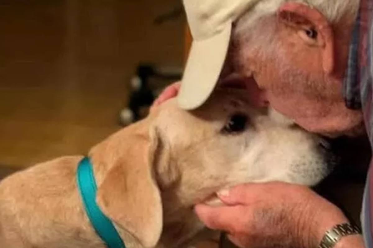 La storia strappalacrime di Sunny e Norm commuove gli utenti del web