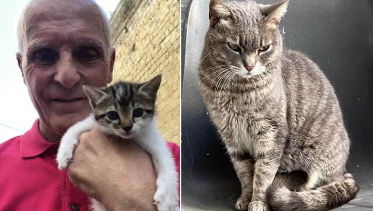 Antonio aiuta i gatti di Napoli