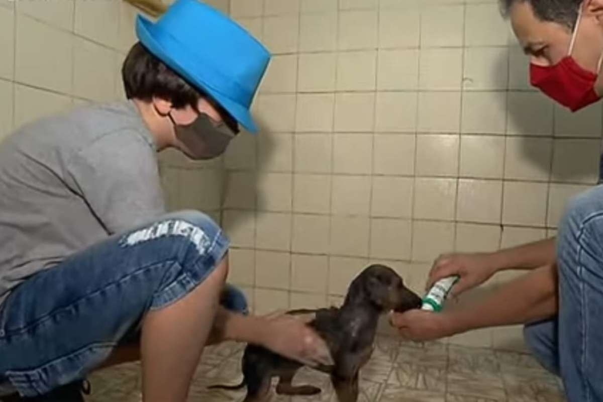 Bimbo e adulto che lavano un cane