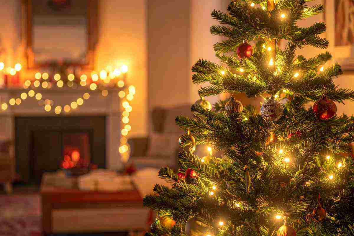 Albero di Natale in salotto 