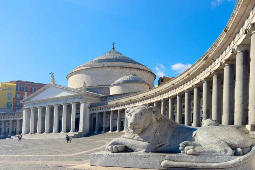 Napoli città dei gatti