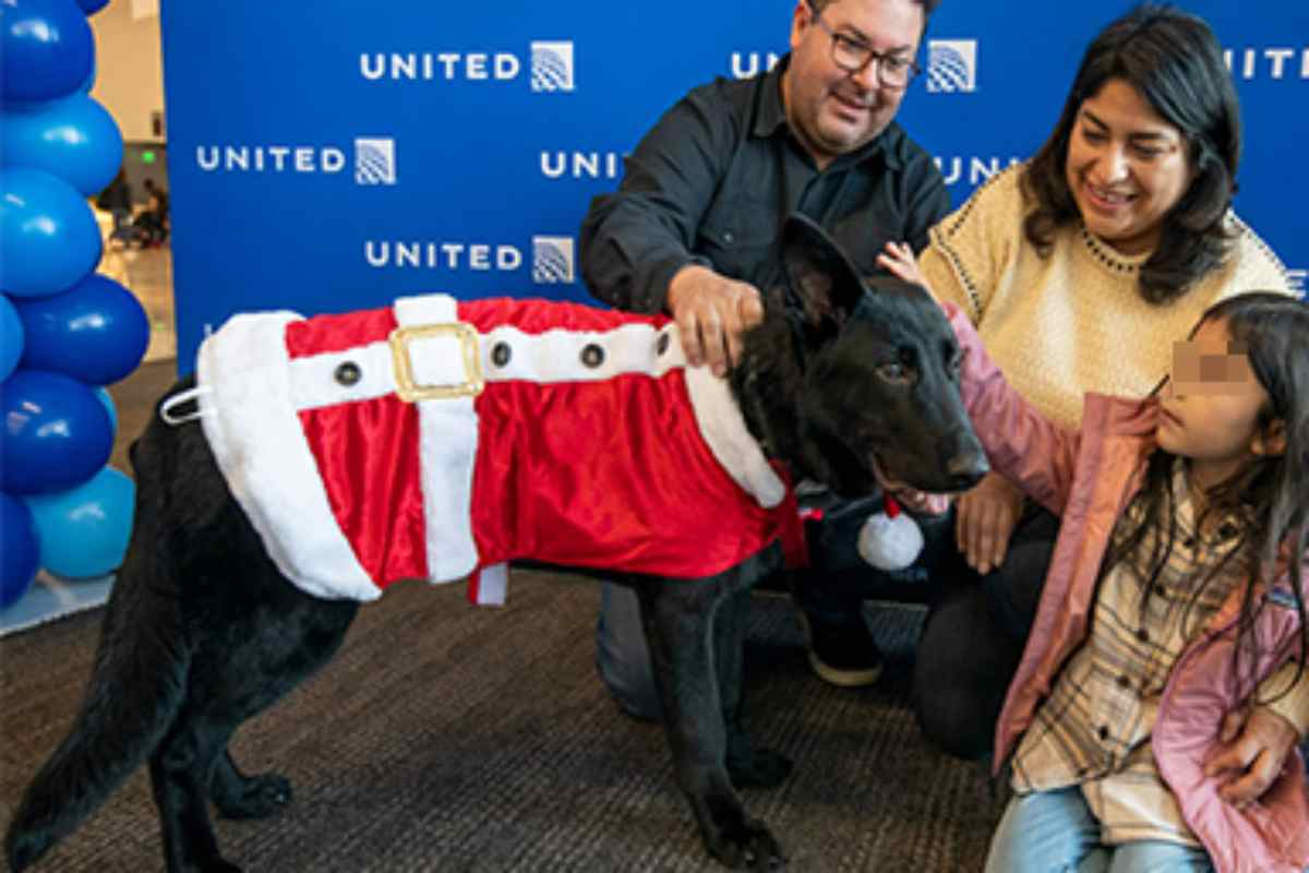 polaris vestito per natale