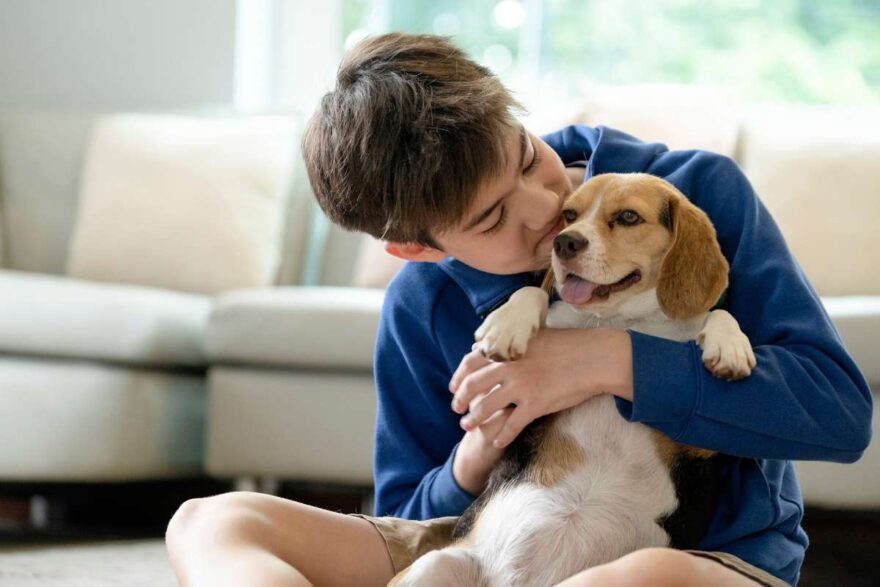 bambino porta il cane al rifugio