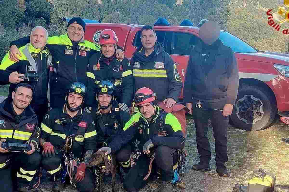 vigili del fuoco e cane