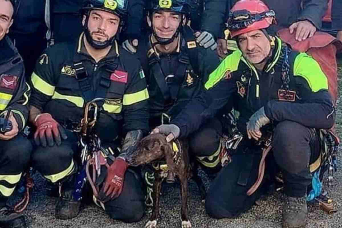 cane e vigili che l'hanno salvato