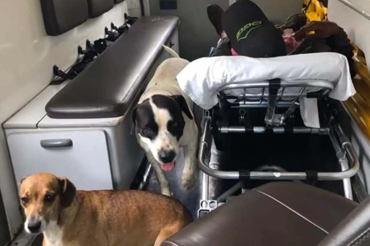 bob e chiara sull'ambulanza