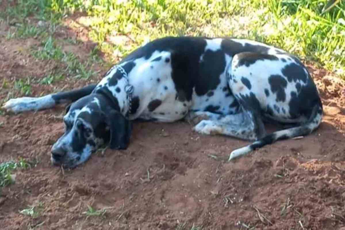 kaya sulla tomba di gaspar