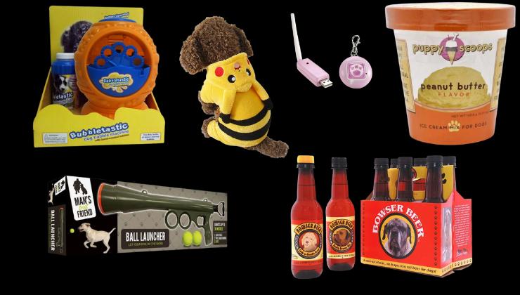 idee di regali di natale per il cane