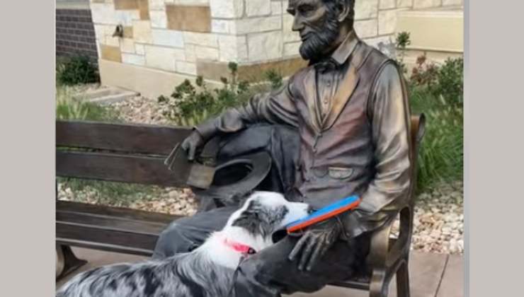il cane scambia la statua per un umano