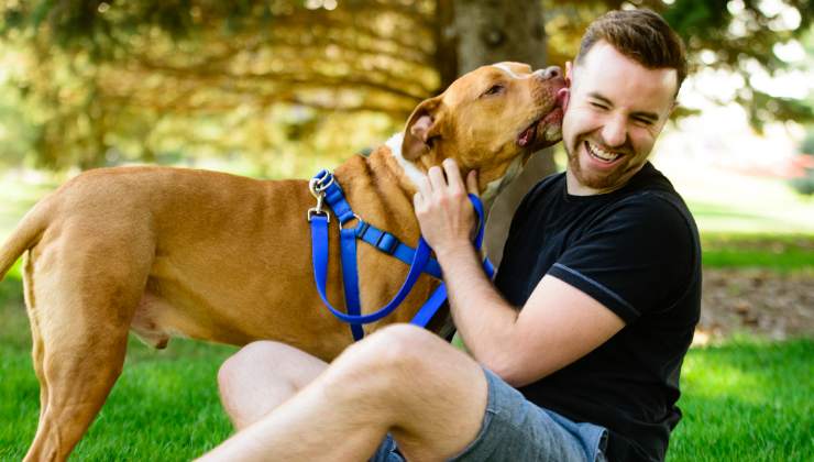 il padre del bambino di tre anni salvato dal pitbull