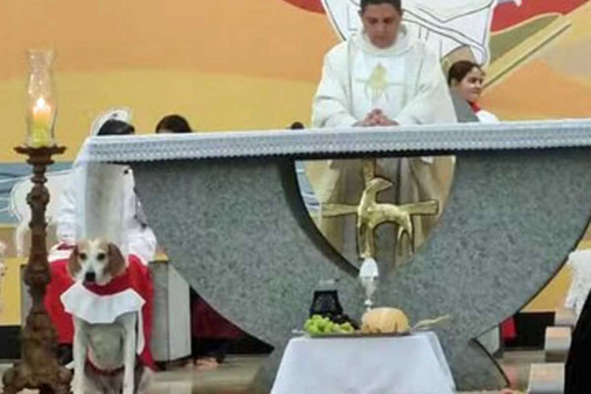 johnny in chiesa con il parroco