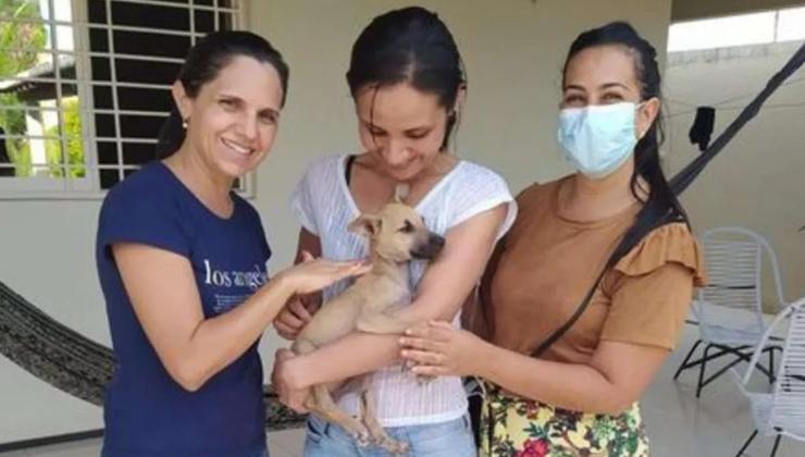 la donna che ha salvato un cane randagio nel presepe