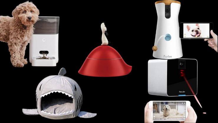 le idee per i regali di natale per il cane