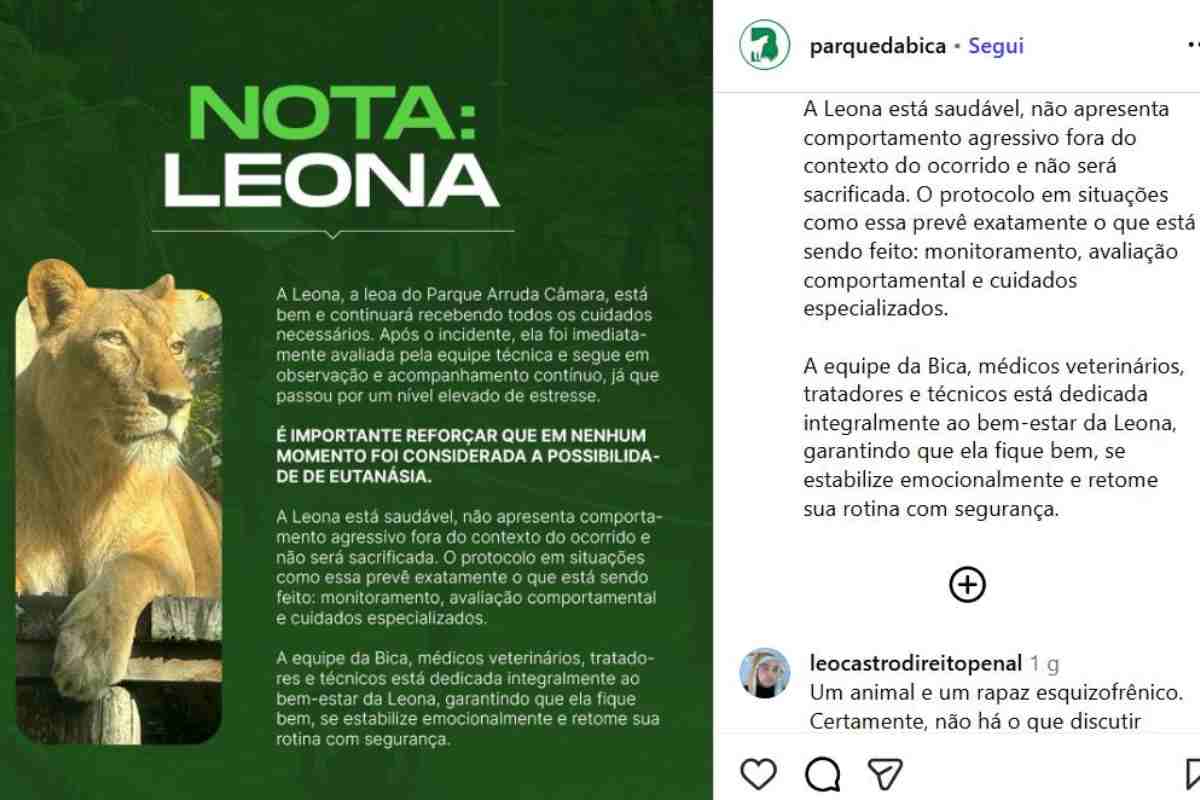 nota dello zoo per l'accaduto