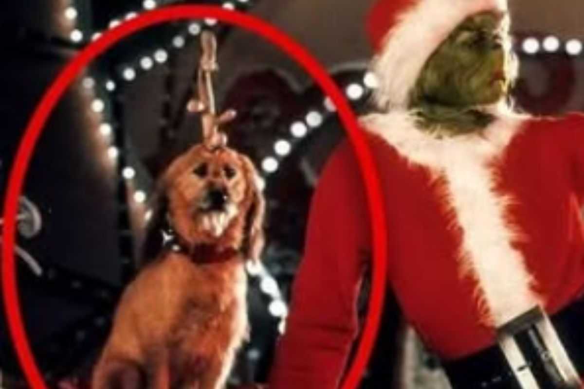 Max e Grinch