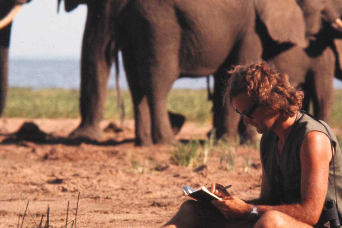 iain douglas hamilton e elefante