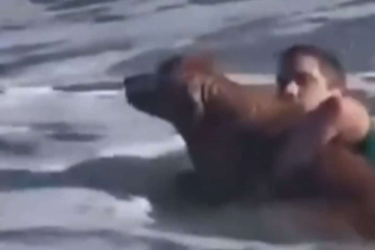 cane stava per affogare