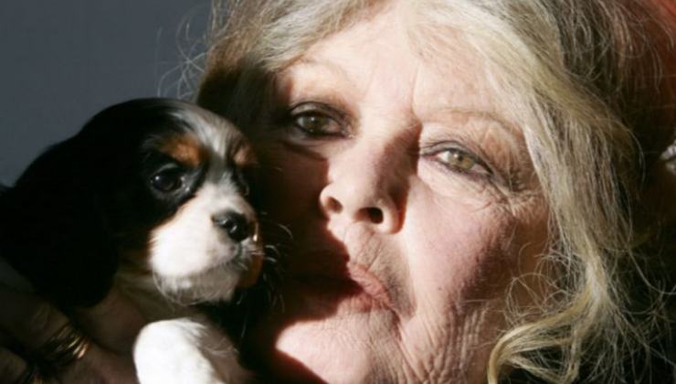 Brigitte Bardot con il cucciolo di cane