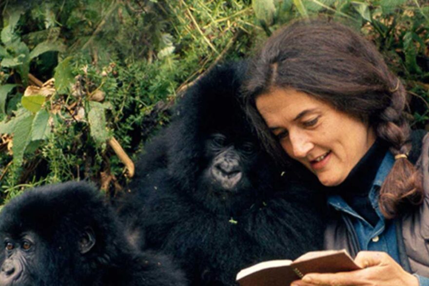 Dian Fossey