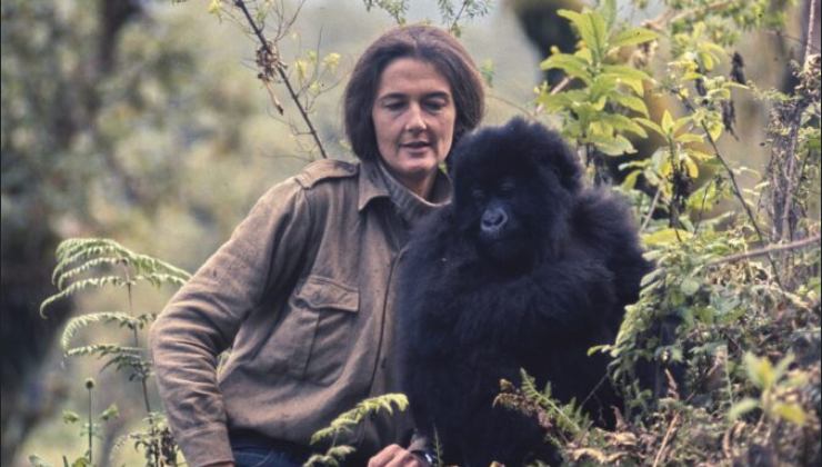 Dian Fossey, la “signora dei gorilla”