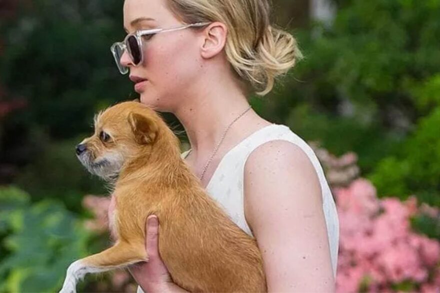 Jennifer Lawrence con il suo cane