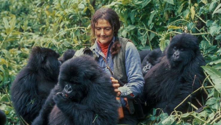 Quarant’anni fa moriva Dian Fossey, la “signora dei gorilla”