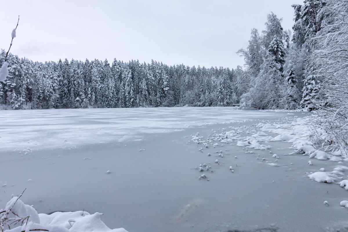 Si tuffa nel lago ghiacciato per salvare il cane, resta intrappolato