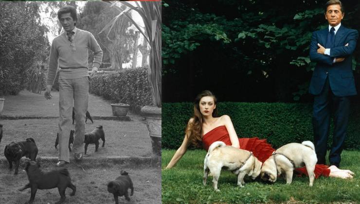 Valentino e i cagnolini Carlino