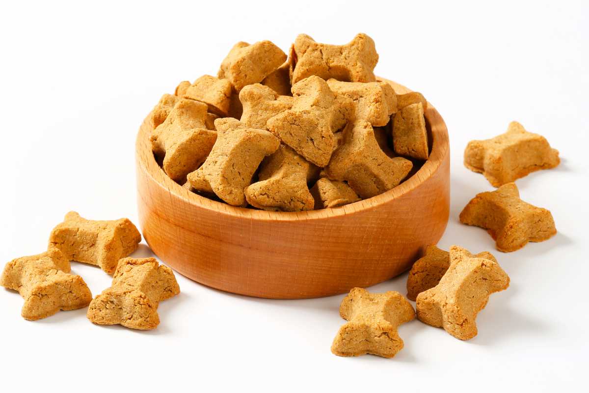 crocchette per canicrocchette per cani