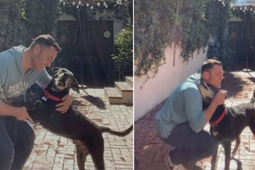 Tiziano Ferro con i can