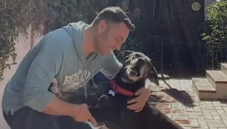 Tiziano Ferro con il cane