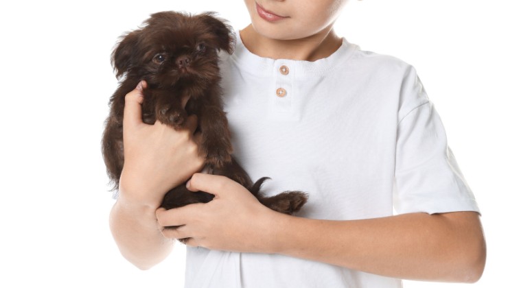 bambino salva cane dall'alluvione