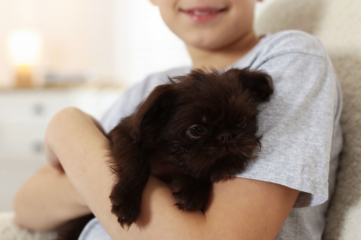 bambino salva un cane dall'alluvione