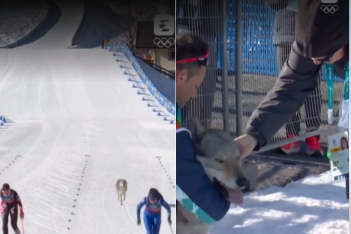 Nazgul ci ha emozionati: ora emozioniamoci per chi aspetta adozione