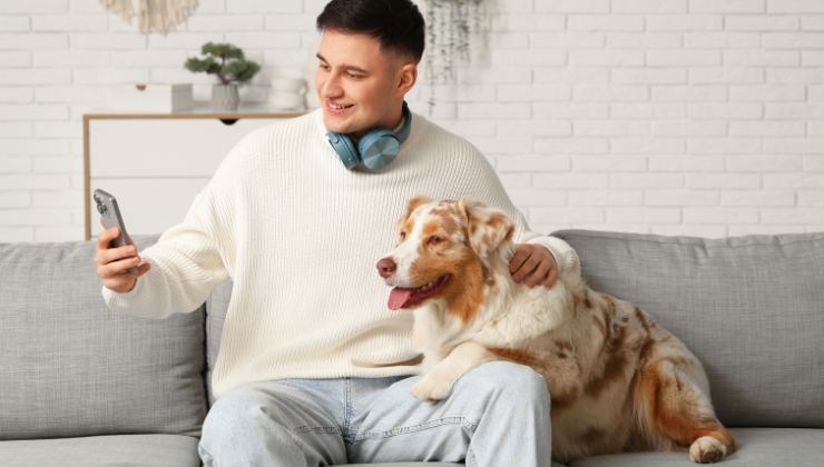 gli smartphone per cani