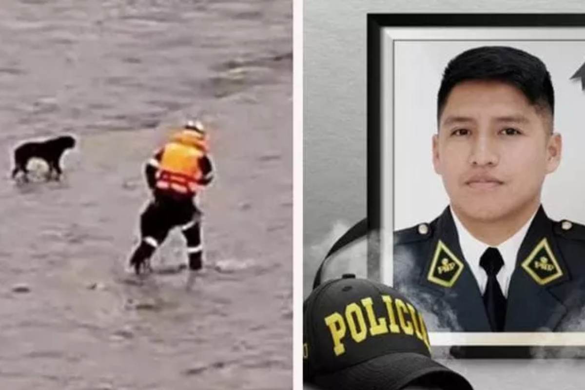 pompiere morto per salvare un cane dall'alluvione