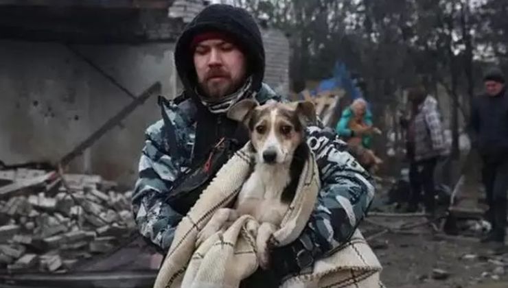 soldato salva il cane