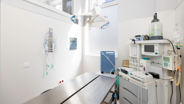 una clinica veterinaria