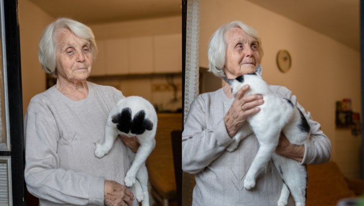 A 92 anni dimentica tutto ma non il suo gatto che riconosce sempre