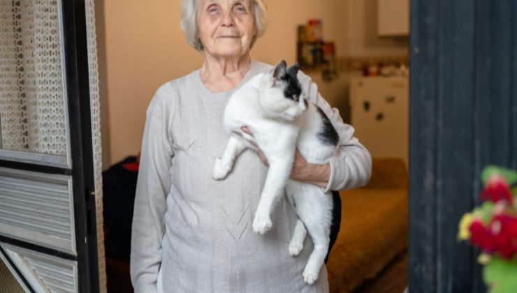 A 92 anni dimentica tutto ma non il suo gatto
