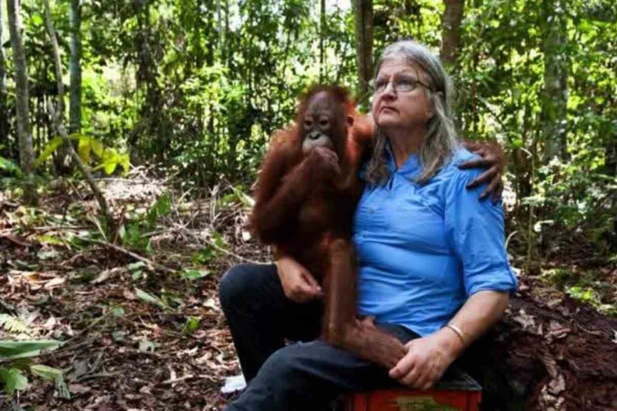 Birute Galdikas con orango in braccio