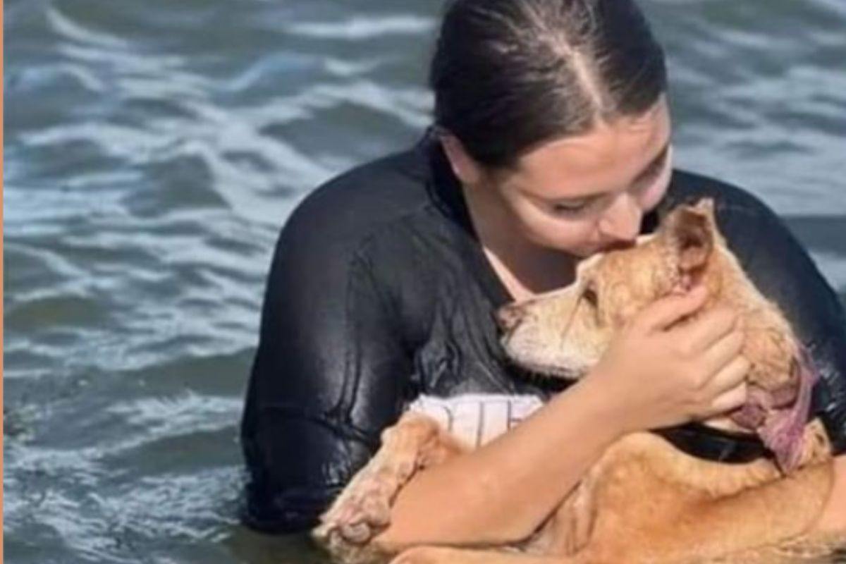 Salvata dalla strada, Noa dice addio davanti al mare: il gesto pieno d’amore dei volontari